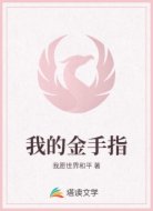 我的金手指
