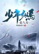 少年纵马走八方