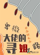 卑微大佬的寻姐之路