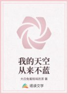 我的天空从来不蓝