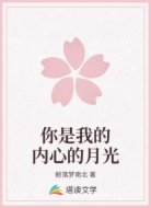 你是我的内心的月光