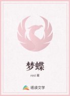 梦蝶