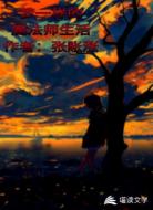 梦一样的魔法师生活