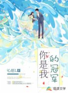 你是我的冠军