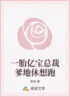 一胎亿宝总裁爹地休想跑