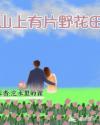 山上的那片野花田