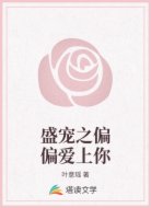 盛宠之偏偏爱上你