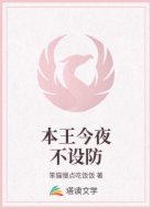 本王今夜不设防