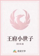 王府小世子