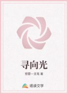 寻向光