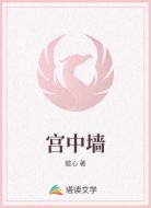 宫中墙