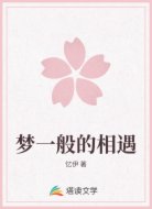 梦一般的相遇