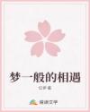 夢一般的相遇
