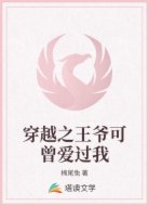穿越之王爷可曾爱过我