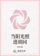 当阳光照进胡同