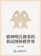 被神明注视着的我试图拯救世界