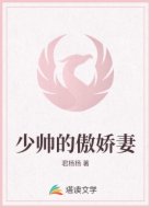 少帅的傲娇妻