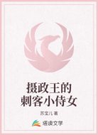 摄政王的刺客小侍女