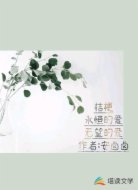 桔梗永恒的爱无望的爱