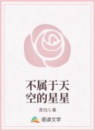 不属于天空的星星