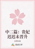 中二篇:贵妃迟迟未晋升