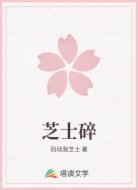 芝士碎