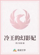 冷王的幻影妃