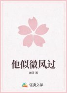 他似微风过