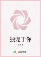 独宠于你