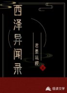 西泽异闻录