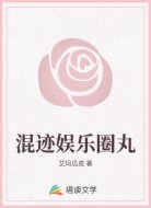 混迹娱乐圈丸