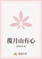 揽月山有心