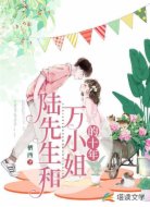 陆先生和万小姐的十年