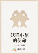 妖猫小花的使命