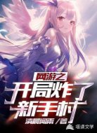 网游：开局炸了新手村