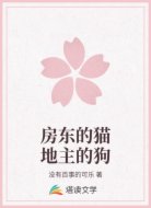 房东的猫地主的狗