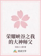 荣耀峡谷之我的大神师父