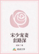 宋少宠妻套路深