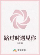 路过时遇见你