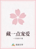 藏一点宠爱