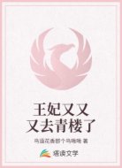 王妃又又又去青楼了