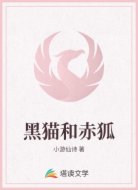 黑猫和赤狐