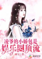 凌爷的小娇包是娱乐圈顶流