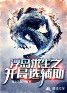 浮岛求生之开局选辅助