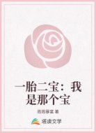 一胎二宝:我是那个宝