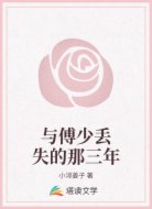 與傅少丟失的那三年