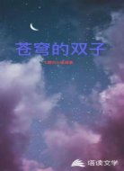 苍穹的双子