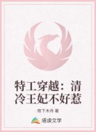 特工穿越：清冷王妃不好惹