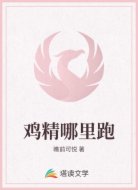 鸡精哪里跑