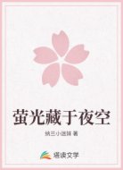 萤光藏于夜空
